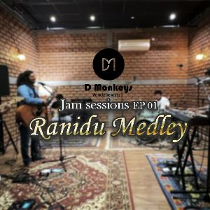 Ranidu Medley (Live Cover)