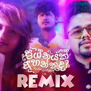 Prashnayak Ahannada ( OFFICIAL REMIX )