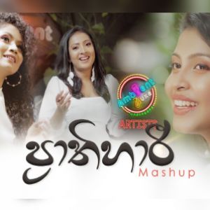 Prathihari ( Mashup )