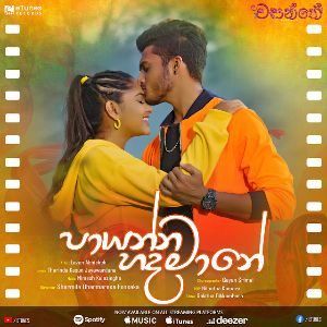 Paayanna Hada Maane (Wasanthe Teledrama Song)