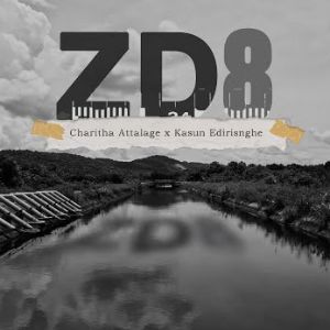 ZD8