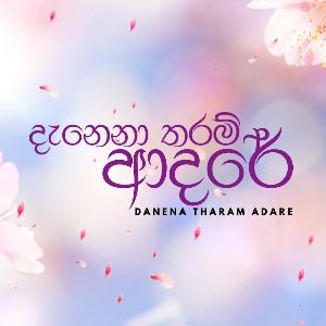 Manike Mage Adare ( Danena Tharam Adare Theme Song )
