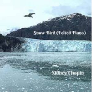 Snow Bird Felted piano