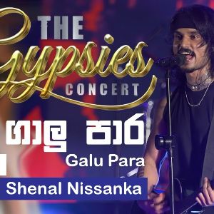 Galu Pare (The Gypsies Concert)