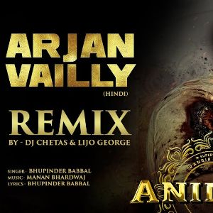 Arjan vailly Remix