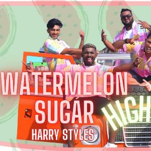 Watermelon Sugar (Live Cover)