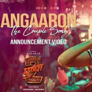 Angaaron (The Couple Song) From Pushpa 2 The Rule
