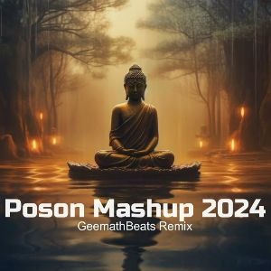 Poson Mashup 2024