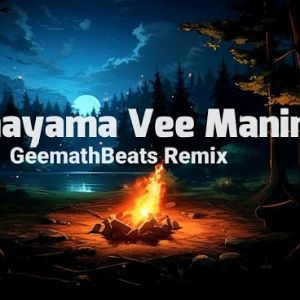 Paththayama Vee Maninna (Remix)