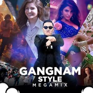 Gangnam Style Desi Megamix