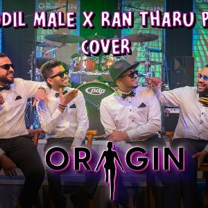 Daffodil Male x Ran Tharu Payana (Cover)