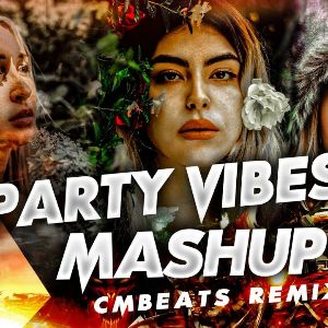 Party Vibes Hindi Mashup