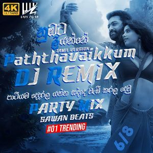 Paththavaikkum (Nubata Liyanne) Tamil Version Dj Remix