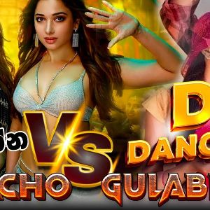 Achacho VS Gulabi Sadi Song Dance Mix Dj Party Vibe