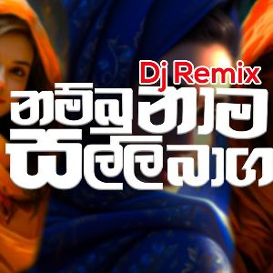 Nambu Nama Salli Baga Dj Remix