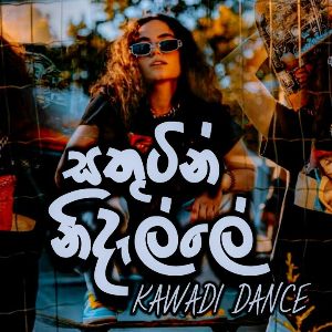 Sathutin Nidalle Kawadi Dance Mix DJ Remix