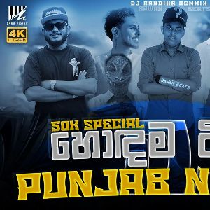 Punjab Dj Nonstop 2K24