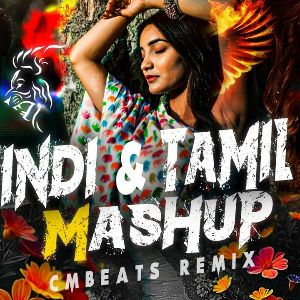 Hindi & Tamil Party Vibes Mashup (Remix)