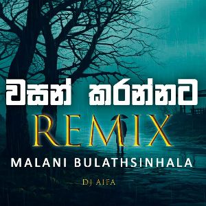 Wasan Karannata Ba (Remix)