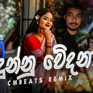 Dunnu Wedana (Remix)